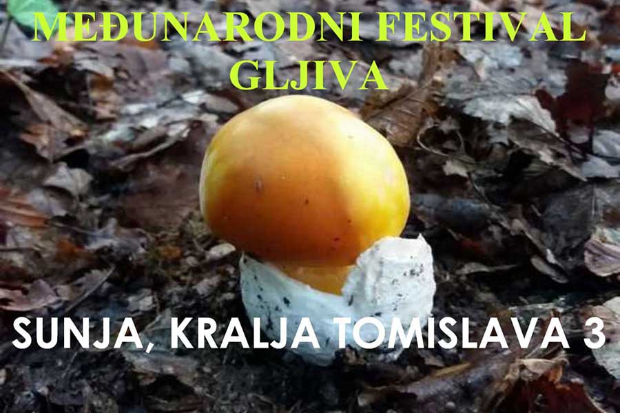 Međunarodni festival gljiva u Sunji u subotu 26. rujna 2026.