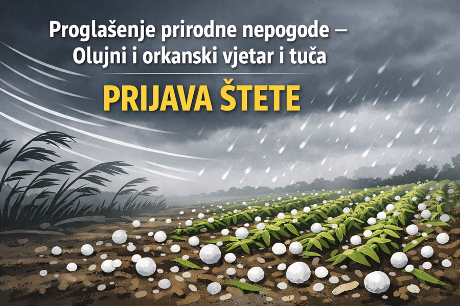 Proglašenje prirodne nepogode – Olujni i orkanski vjetar i tuča